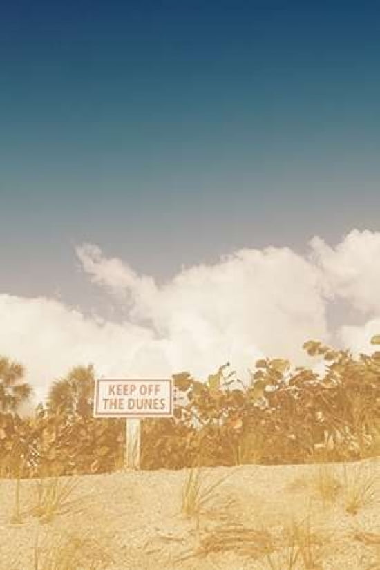 The Dunes Canvas Art - Susan Bryant (24 x 36)