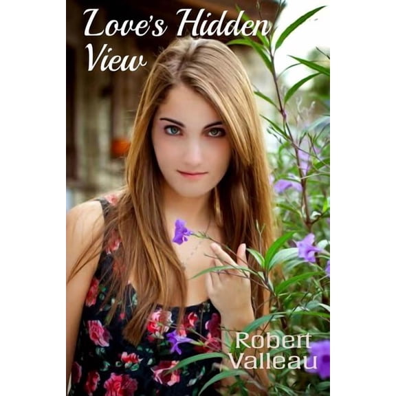The Dusty Road Chronicles Love's Hidden View, Book 3, (Paperback)