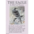thumbnail image 1 of The Eagle-Fine Art Canvas Print (20" x 30"), 1 of 1