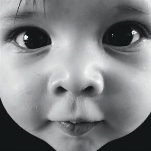 Vanwymeersch, Wolf The Early Years (Vinyl Record)