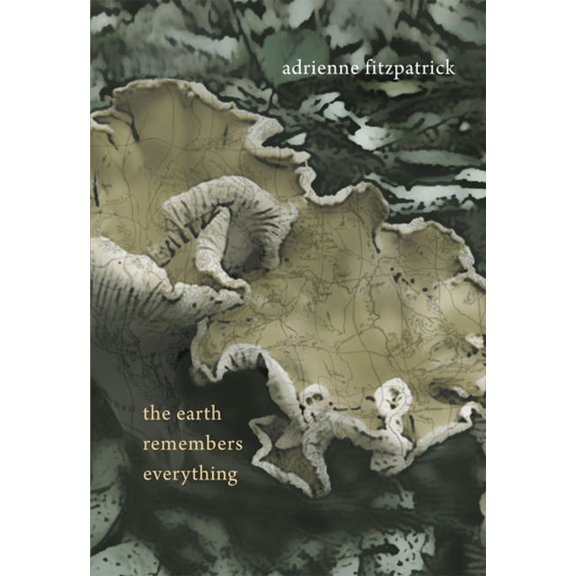 The Earth Remembers Everything (Paperback)