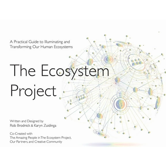 The Ecosystem Project: A Practical Guide to Illuminating and Transforming Our Human Ecosystems, (Paperback)