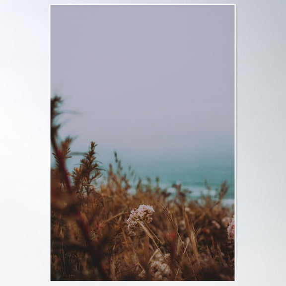 The Edge Of San Diego Poster Wall Art, Modern Wall Decor For Living Room Bedroom, 8x12 UNFRAMED