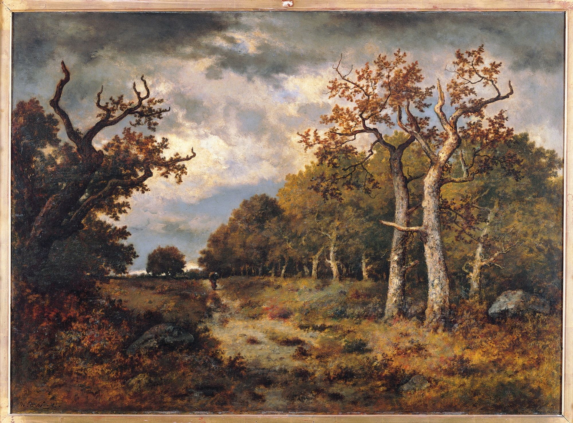 The Edge Of The Forest Canvas Art -  (36 x 24)