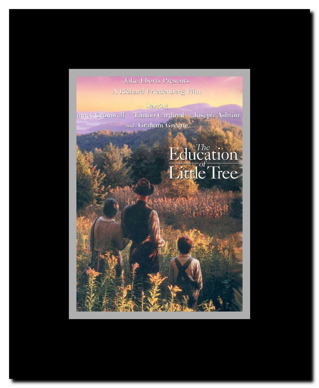 The Education of Little Tree Framed Movie Poster