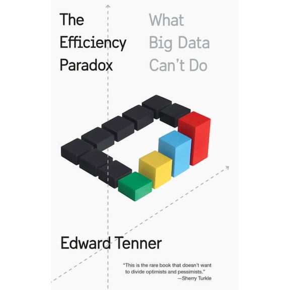 The Efficiency Paradox : What Big Data Can't Do (Paperback)