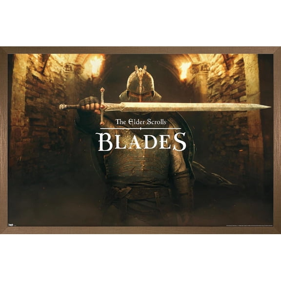 The Elder Scrolls: Blades - Key Art Wall Poster, 22.375" x 34" Framed