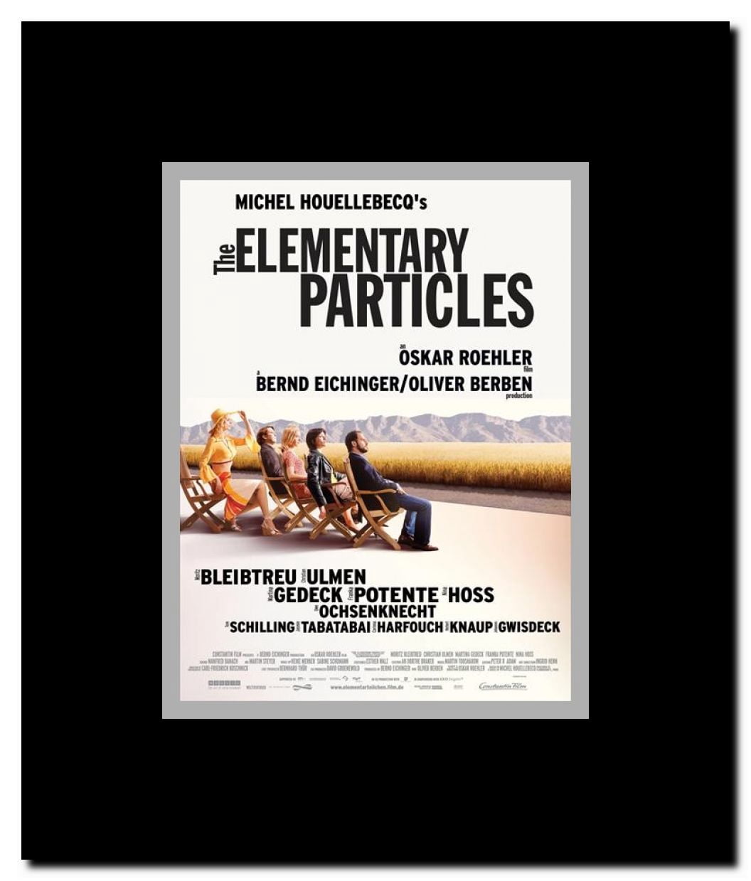 The Elementary Particles Framed Movie Poster