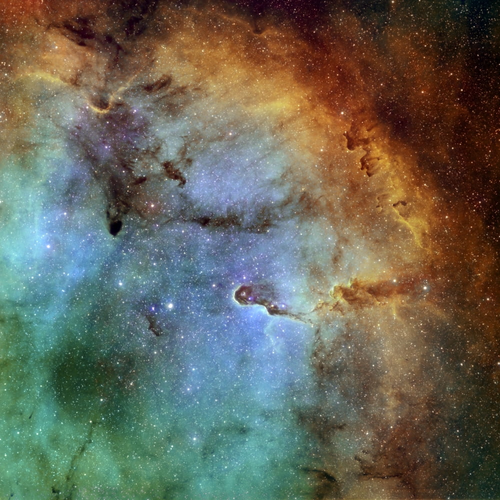 The Elephant Trunk Nebula Canvas Art - Rolf GeissingerStocktrek Images (28 x 28)