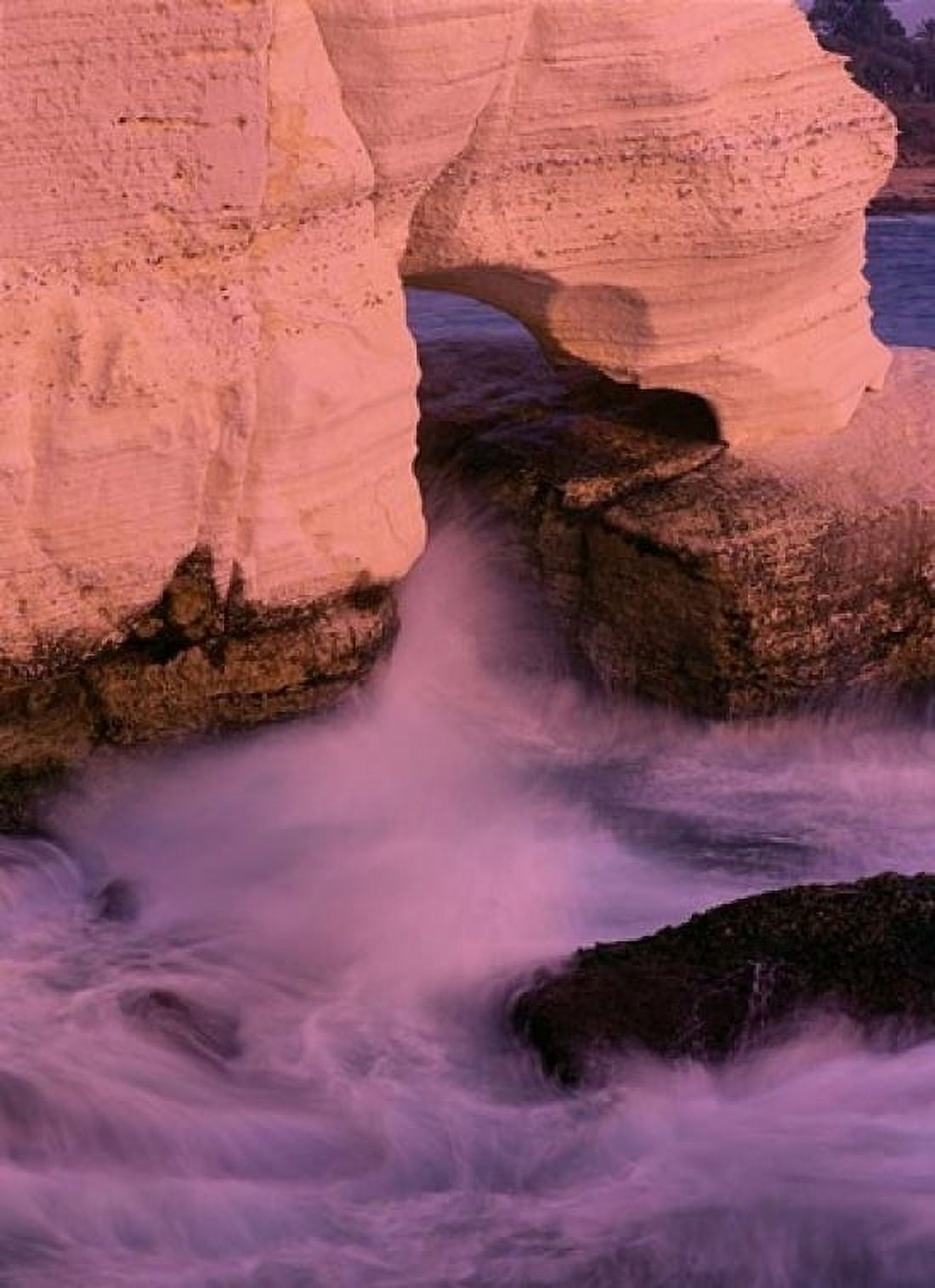 The Elephants Foot Limestone Formation Israel Canvas Art - Jerry Ginsberg DanitaDelimont (24 x 36)