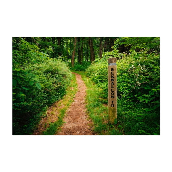 The Elkwallow Trail - Virginia Photography Woodland Nature Forest ...