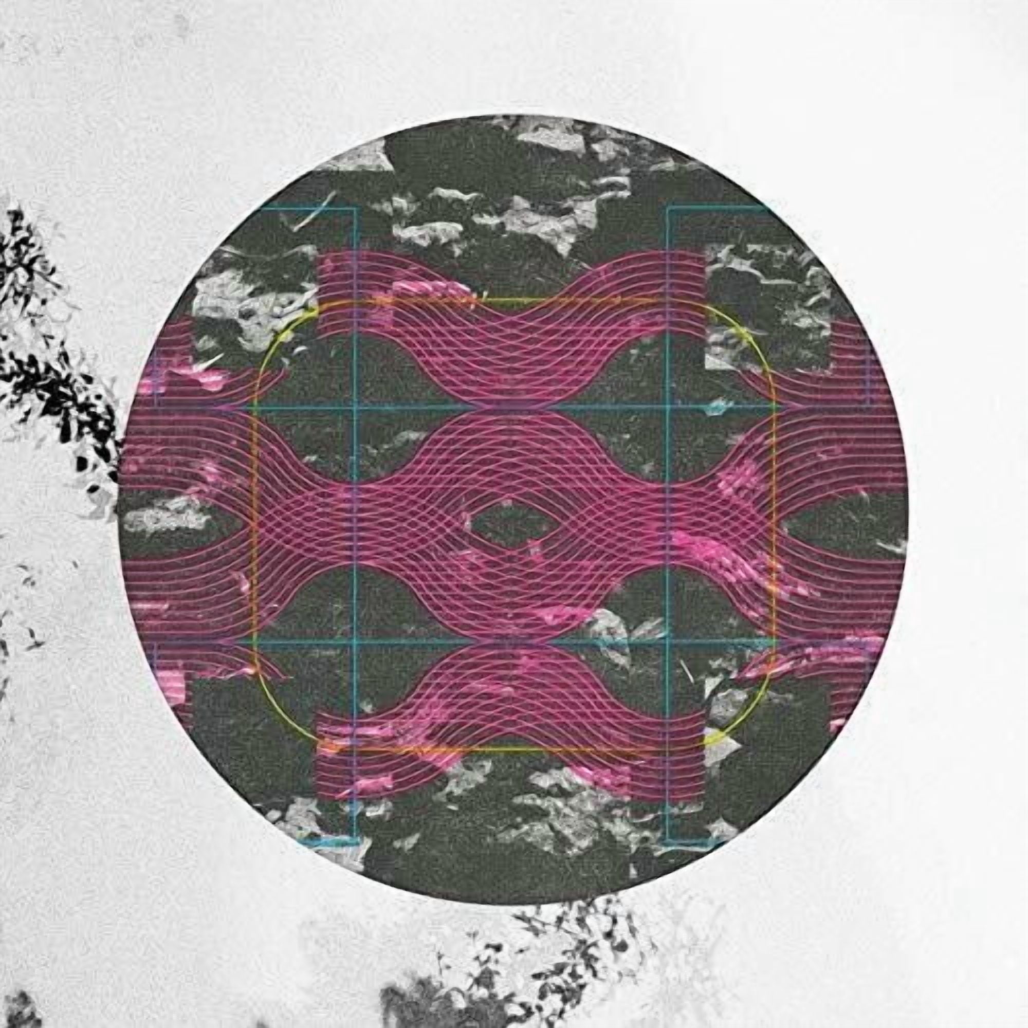 The Elms - Islandia - Music & Performance - Vinyl
