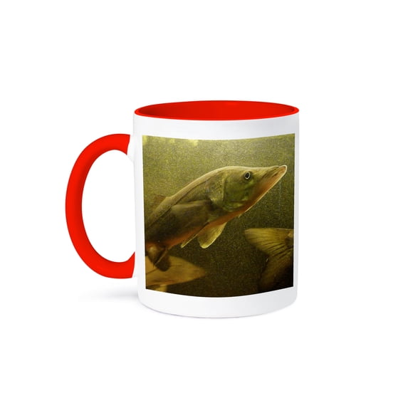 3dRose, The Elusive Snook, 11oz Two-Tone Red Mug