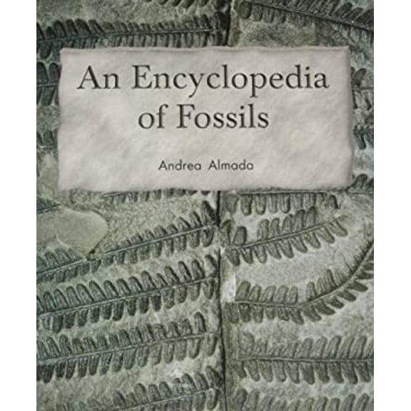Pre-Owned Lbd G2M F Encyclopedia of Fossils The (Paperback) 9781418935764