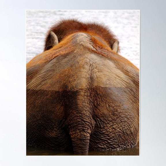 The End Is Near Poster Wall Art, Modern Wall Decor For Living Room Bedroom, 8x12 UNFRAMED