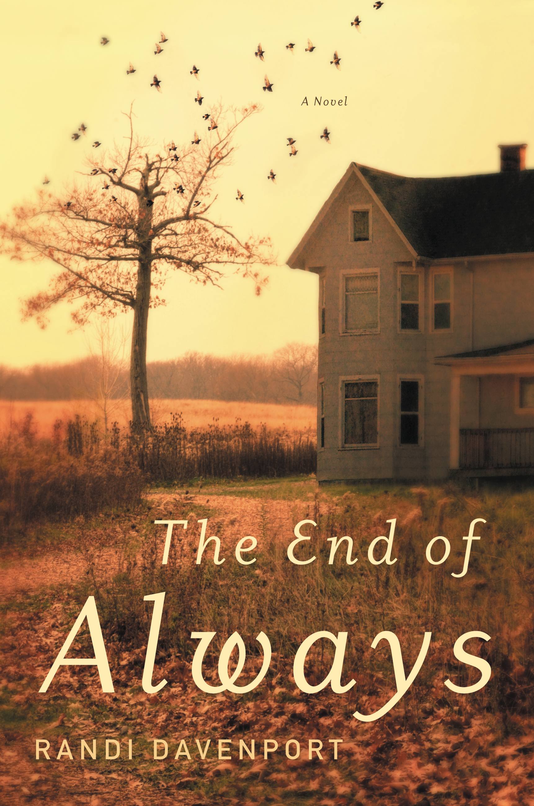 The End of Always : A Novel (Hardcover) - image 1 of 1