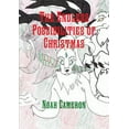 thumbnail image 1 of The Endless Possibilities of Christmas, (Paperback), 1 of 1