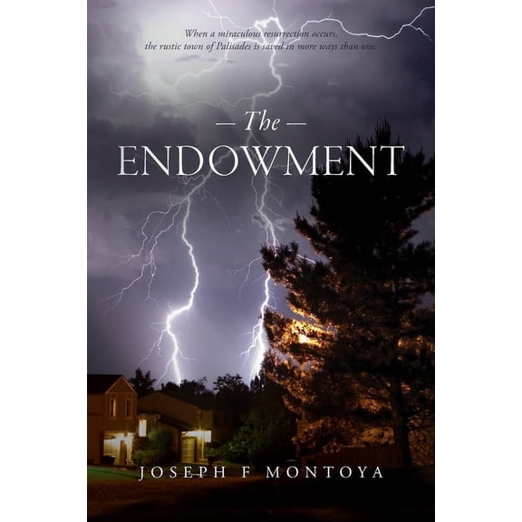 The Endowment, (Paperback)