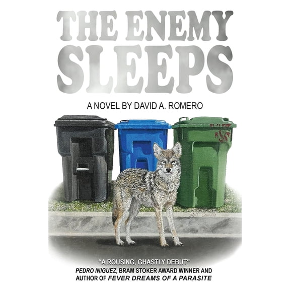 The Enemy Sleeps, (Paperback)
