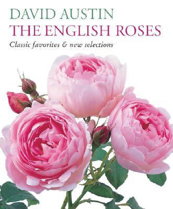 The English Roses : Classic Favorites \u0026 New Selections (Hardcover)