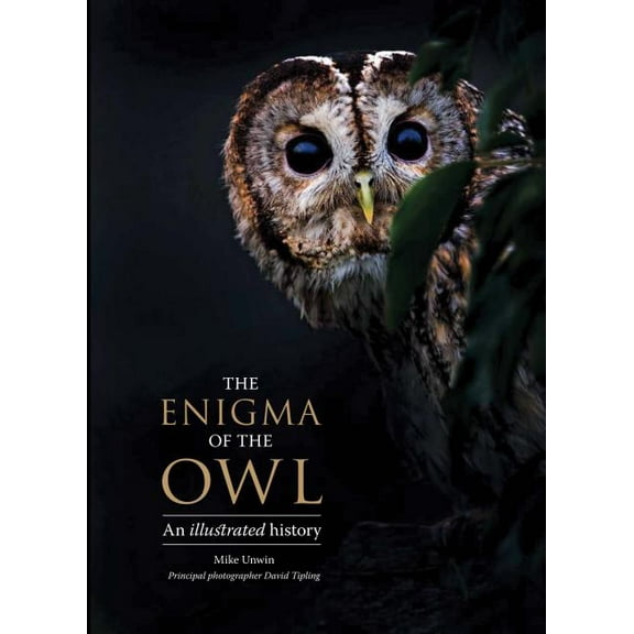 The Enigma of the Owl: An Illustrated Natural History, (Hardcover)
