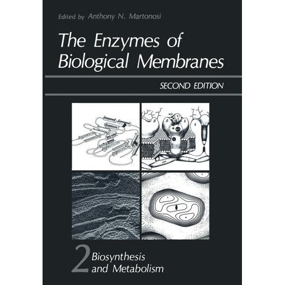 The Enzymes of Biological Membranes: Volume 2 Biosynthesis and Metabolism, (Paperback)
