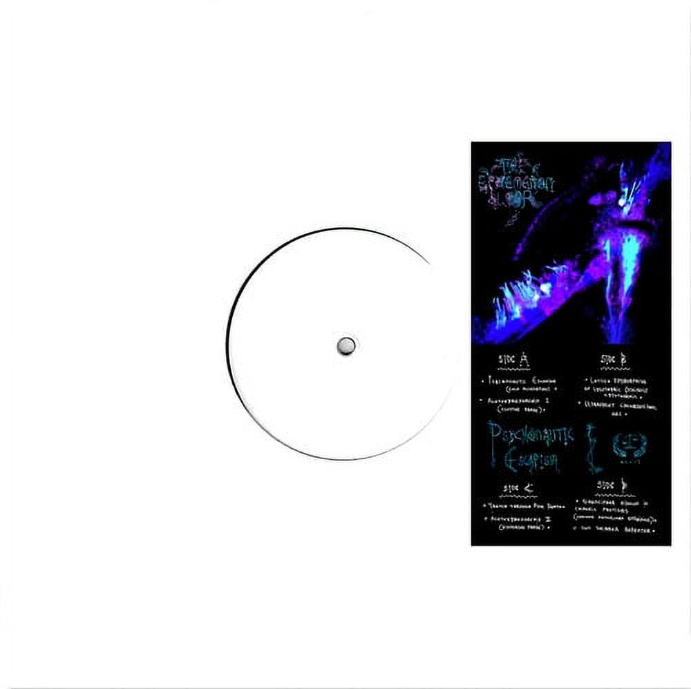 The Ephemeron Loop - Psychonautic Escapism - Music & Performance - Vinyl