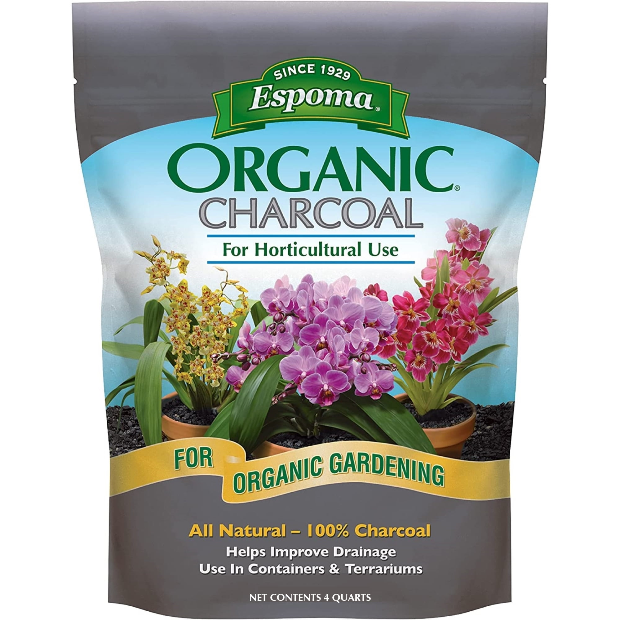 Horticultural Charcoal 101: Plant & Substrate Guide - Terrarium Tribe