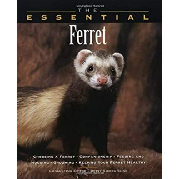 Pre-Owned The Essential Ferret 9781582450780