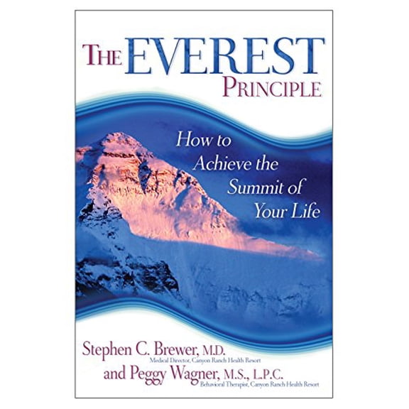 Pre-Owned The Everest Principle: How to Achieve the Summit of Your Life (Paperback) 1401924603 9781401924607