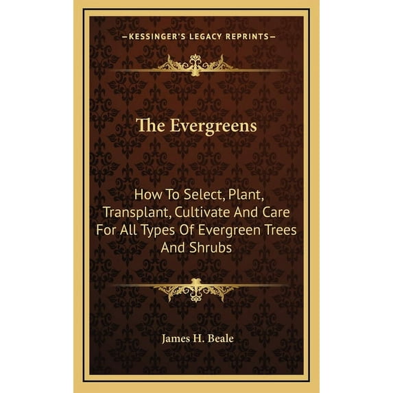 The Evergreens : How To Select, Plant, Transplant, Cultivate And Care For All Types Of Evergreen Trees And Shrubs (Hardcover)