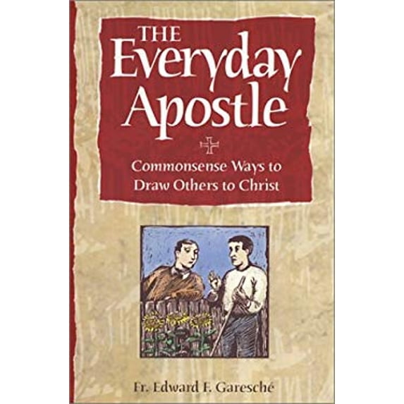 Pre-Owned The Everyday Apostle: Commonsense Ways to Draw Others to Christ, 9781928832492, 1928832490, Paperback,