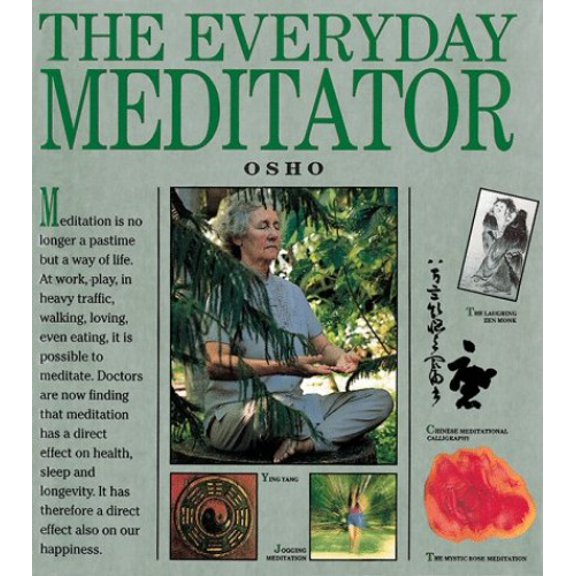 Pre-Owned The Everyday Meditator: A Practical Guide (Paperback) 0804819769 9780804819763