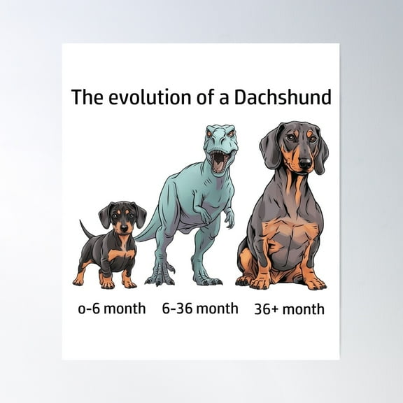 The Evolution Of A Dachshund Poster Wall Art, Modern Wall Decor For Living Room Bedroom, 8x12 UNFRAMED