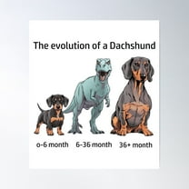 The Evolution Of A Dachshund Poster Wall Art, Modern Wall Decor For Living Room Bedroom, 8x12 UNFRAMED