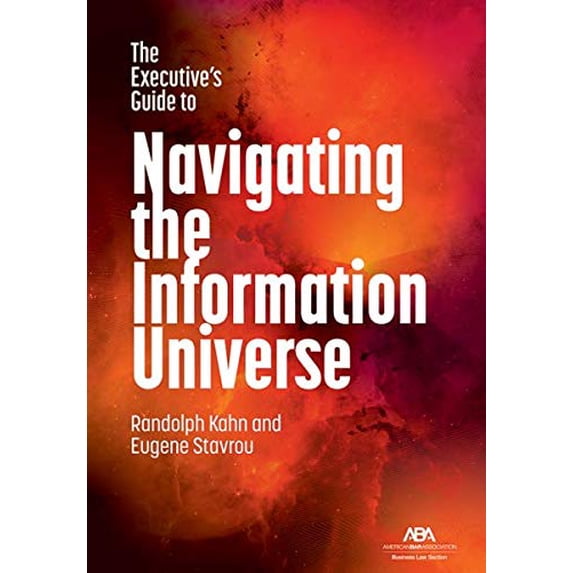 Pre-Owned The Executive's Guide to Navigating the Information Universe Paperback