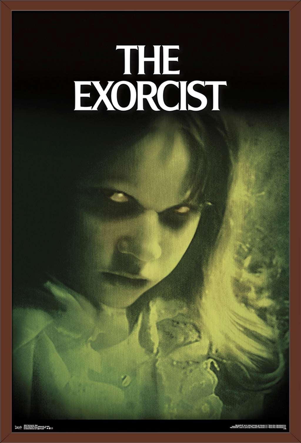 The Exorcist - Eyes Wall Poster, 22.375" x 34", Framed