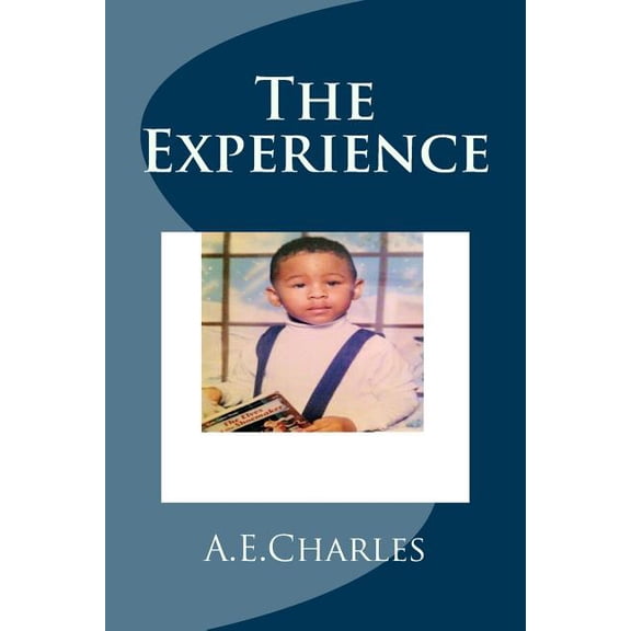 The Experience (Paperback)