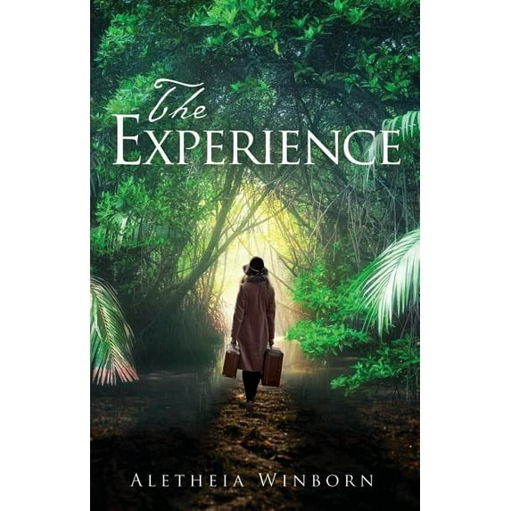 The Experience, (Paperback)