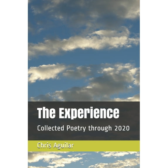The Experience (Paperback)