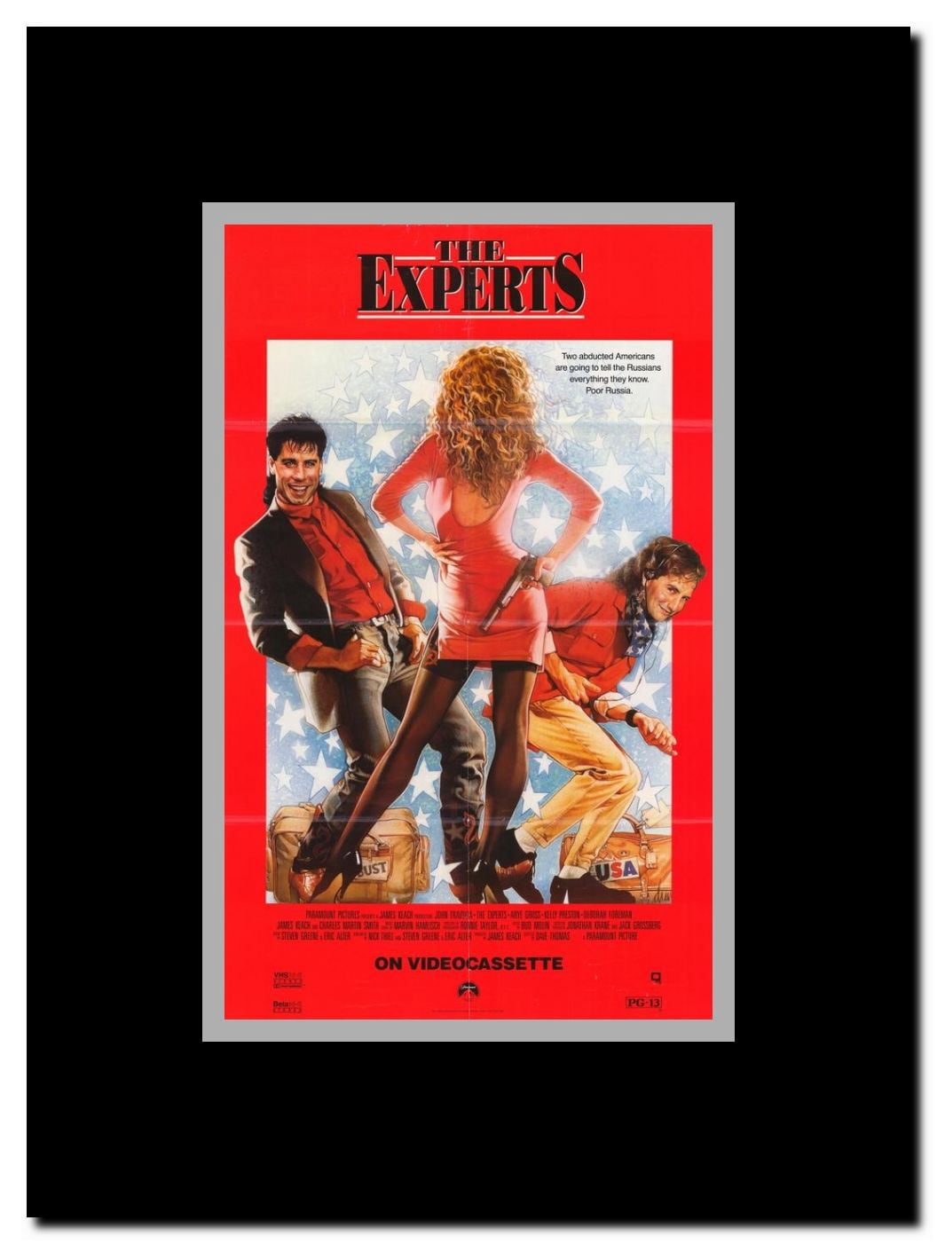 The Experts Framed Movie Poster