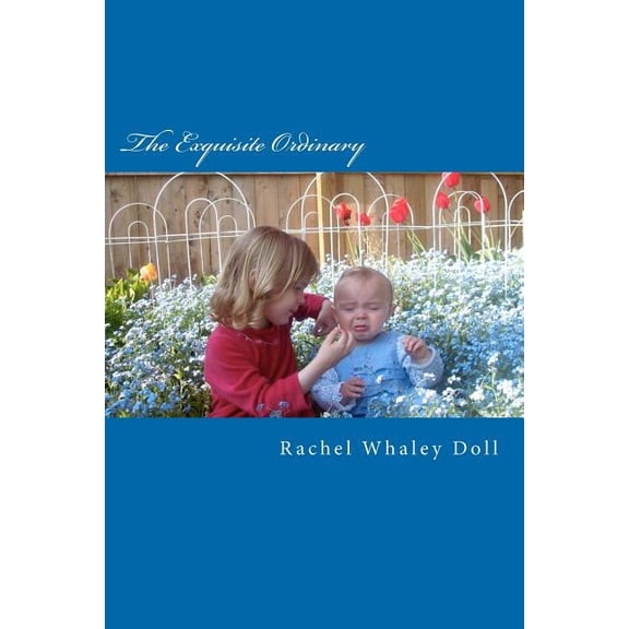 The Exquisite Ordinary (Paperback)