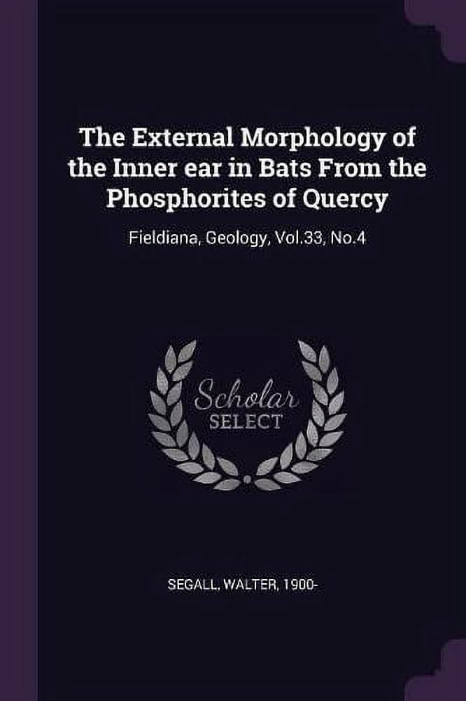 The External Morphology of the Inner ear in Bats From the Phosphorites ...