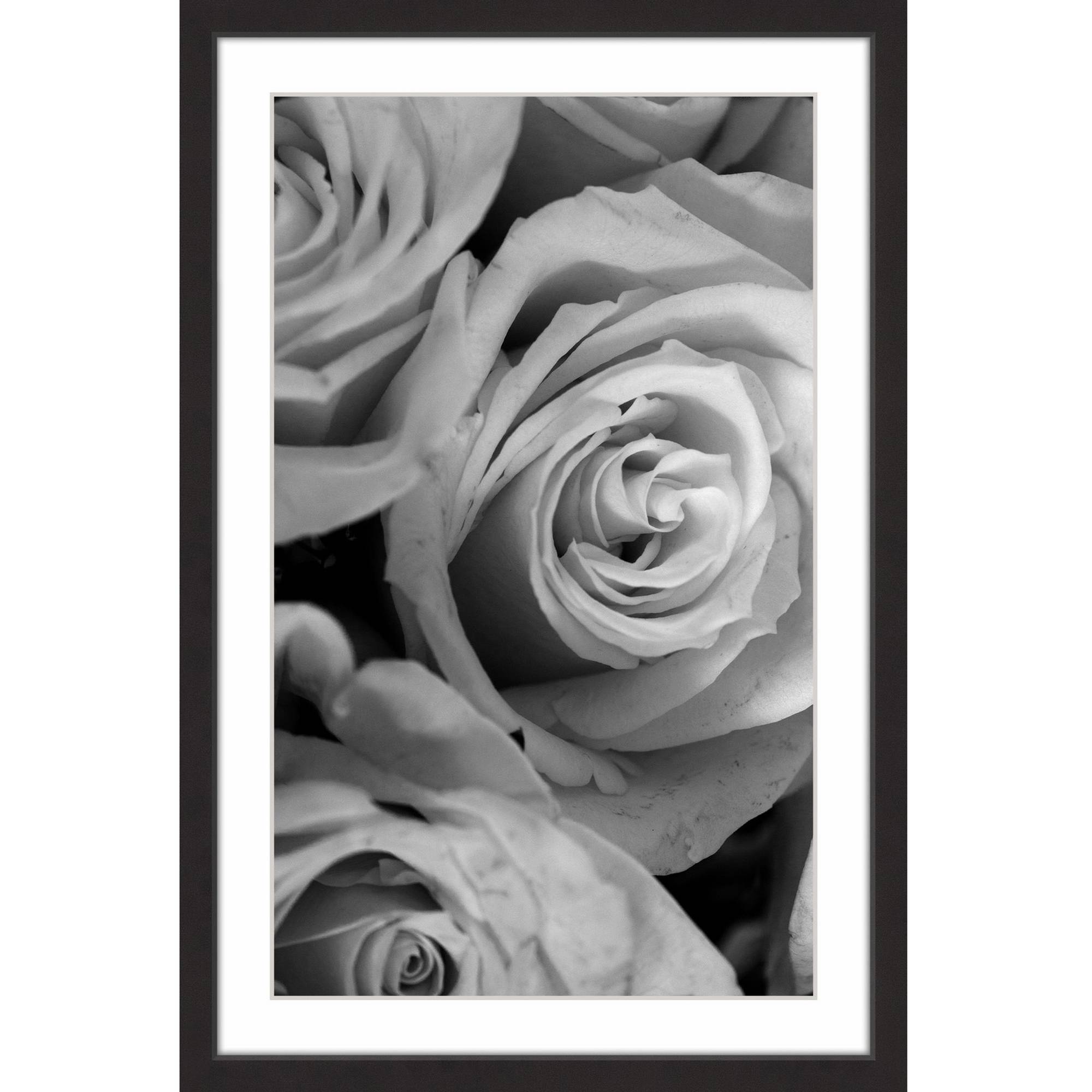 The Eyes of the Rose Framed Painting Print