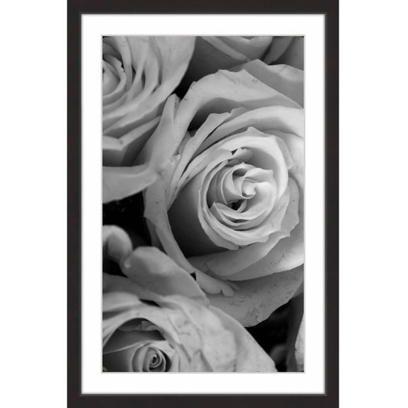 The Eyes of the Rose Framed Painting Print