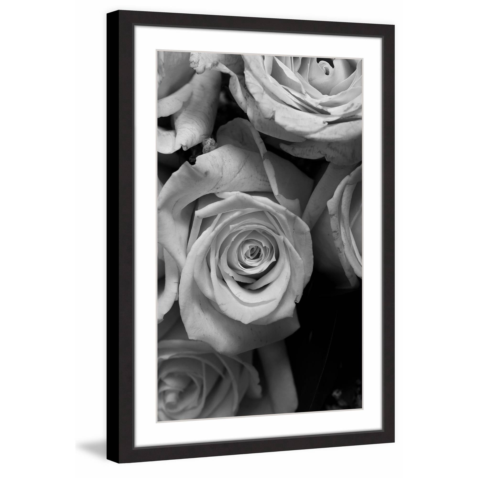 The Eyes of the Rose II Framed Painting Print