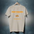 The F1 Trillion Tour 2024 Shirt, Post Malone Fan Shirt, Post Malone