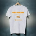 The F1 Trillion Tour 2024 Shirt, Post Malone Fan Shirt, Post Malone