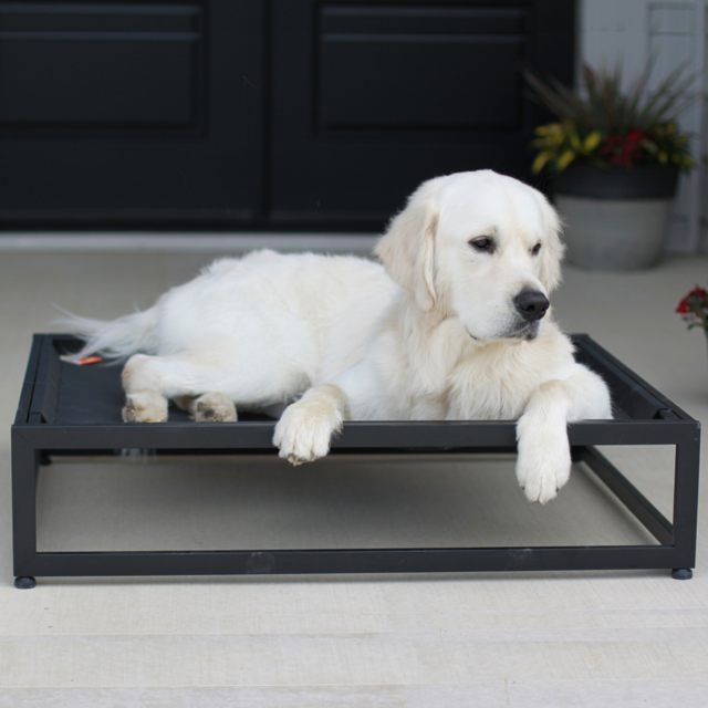 The FUZI Premium Elevated Dog Bed Strong Metal Platform Base, Modern