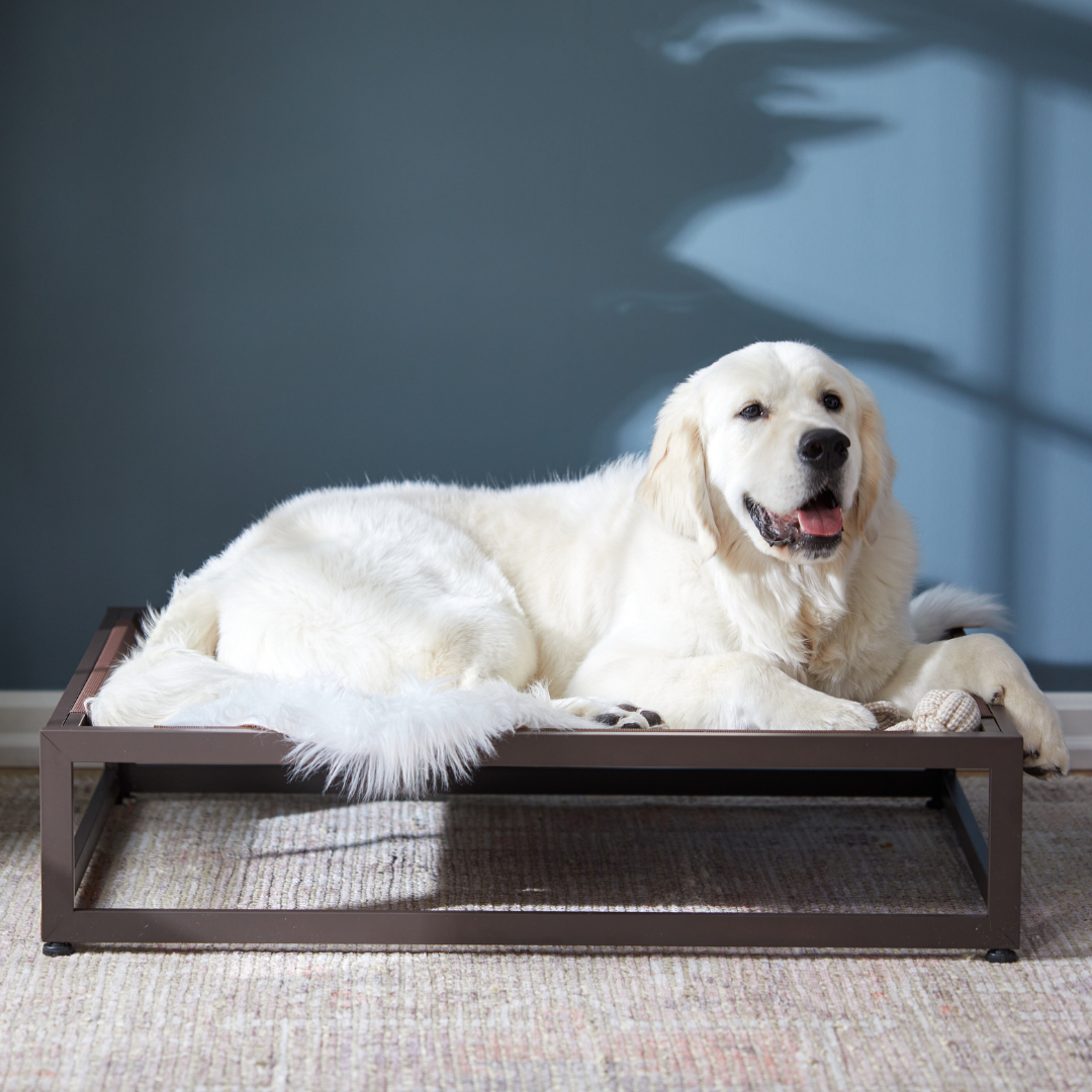 K&H Just Relaxin' Indoor/Outdoor Pet Bed